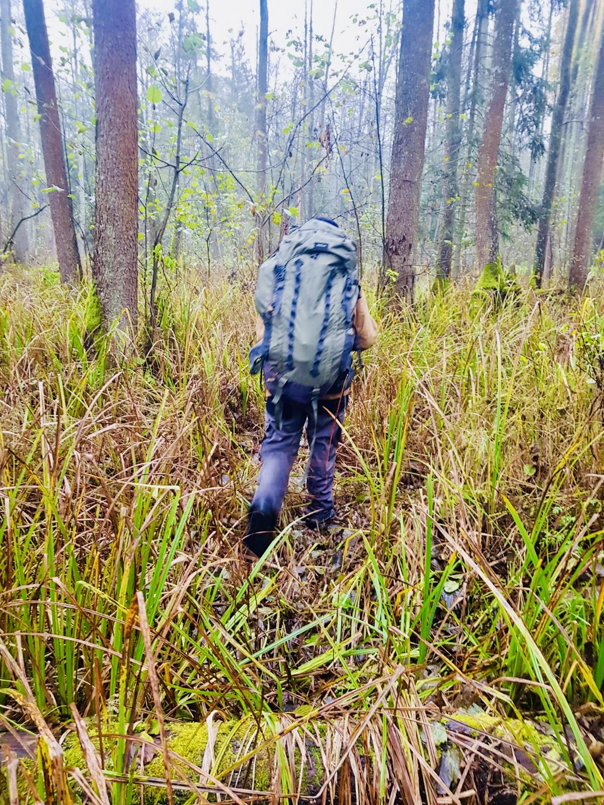 Grupa granica – über die Solidarität an der polnisch-belarussischen Grenze